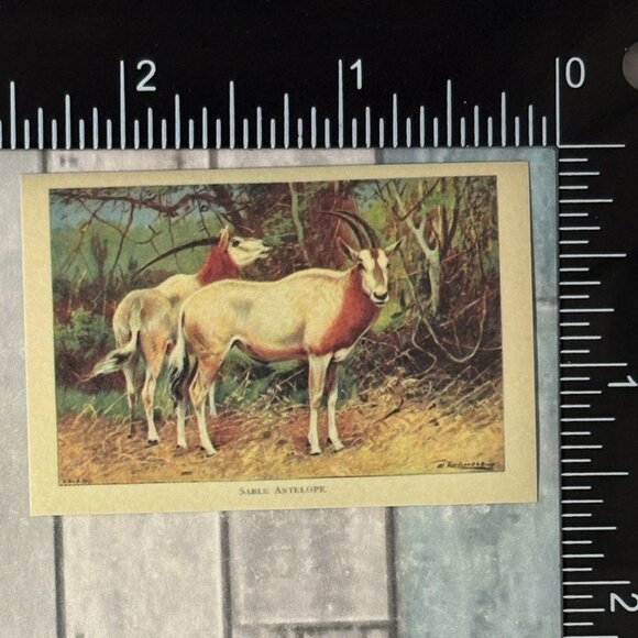 ๐10/$10๐ Classic Hoofed Beasts Reusable Washi Sticker Decal - Picture 1 of 1